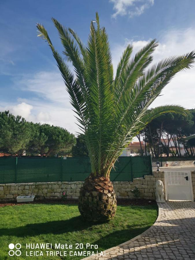 Villa Lala Amoreira  Экстерьер фото